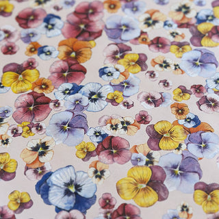 Geschenkpapier, 5 m, Pansy